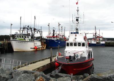 Busy Wharf