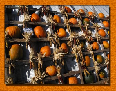 Pumpkin Wall