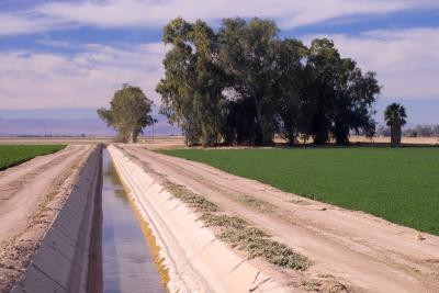 imperial valley irrigation