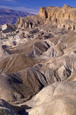 g3/93/139493/3/54215724.IMG02127colorbest.jpg
