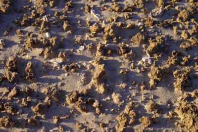g3/93/139493/3/54215746.IMG02235marsbestcopy.jpg