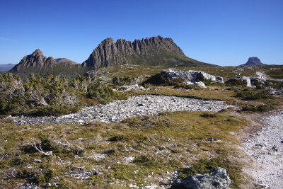 IMG_8357v2.jpg