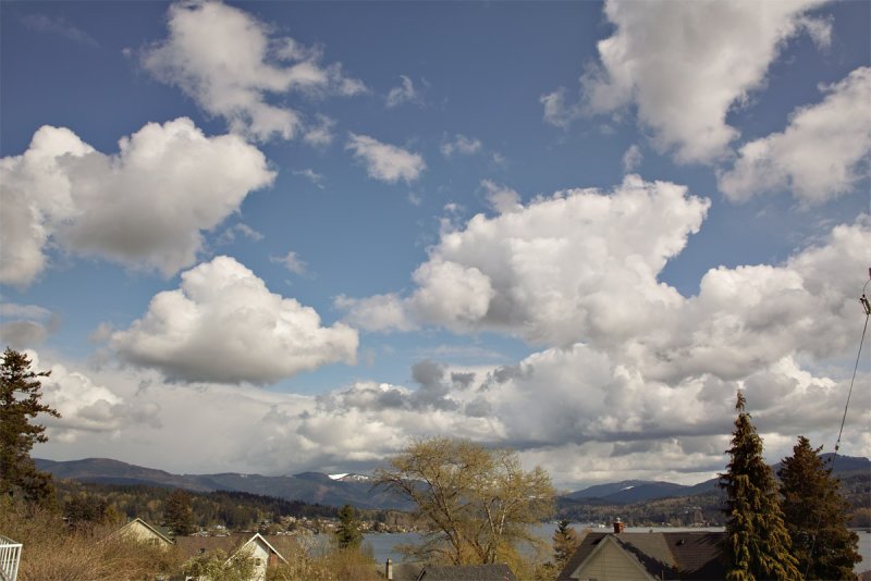 Blue Skies