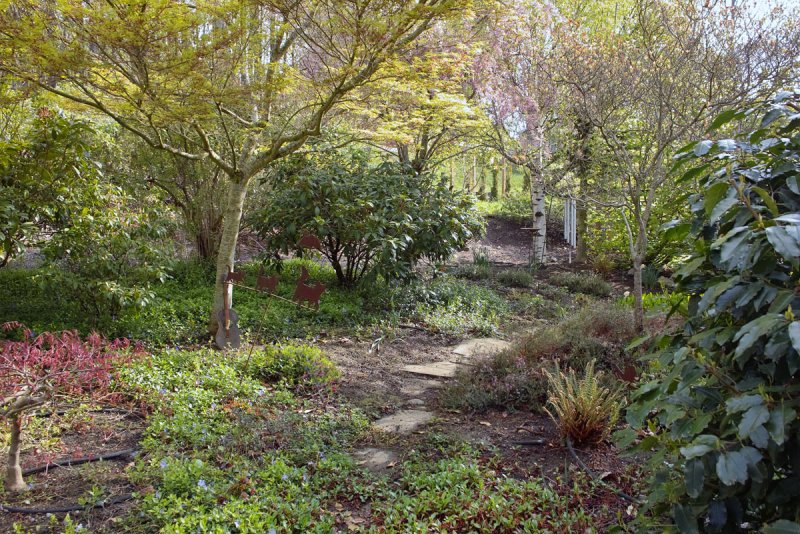 Our Garden
