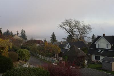 View05-11-20.jpg