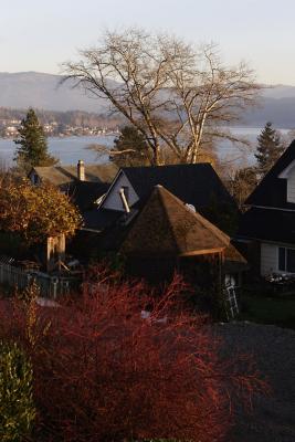 View05-11-22 pm.jpg