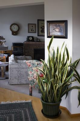 Looking toward the living room