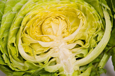 Half a Cabbage