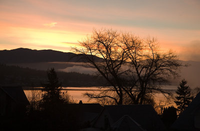 Dawn View