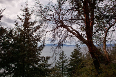 View from Chuckanut