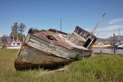 Derelict Boat