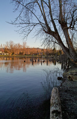 On the shore of Lake Whatcom