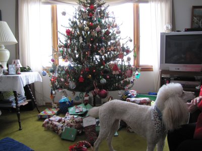 CHRISTMAS 2009