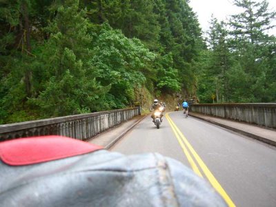 IMG_3537.jpg