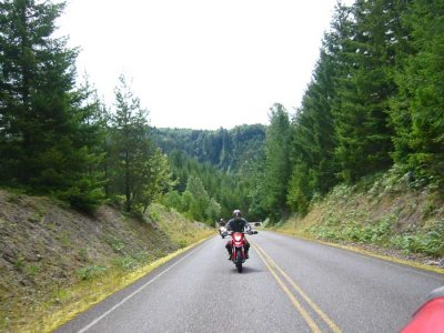 IMG_3558.jpg