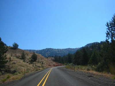 IMG_3711.jpg