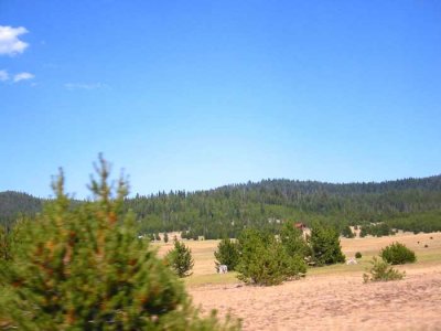 IMG_3736.jpg