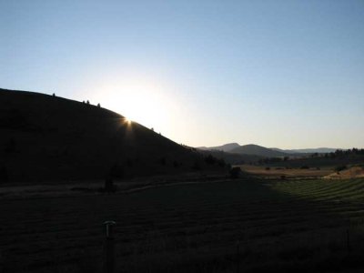 IMG_6578.jpg