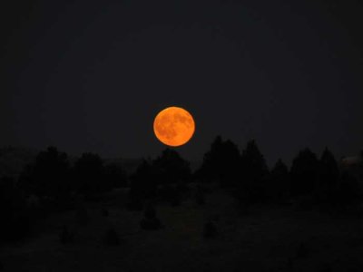 IMG_6654.jpg