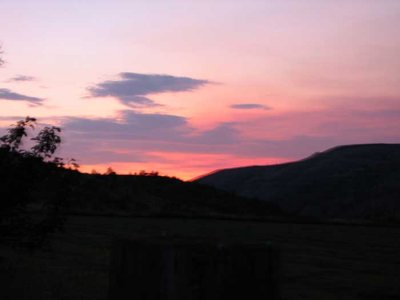 IMG_6659.jpg