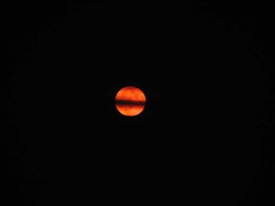 IMG_6663.jpg