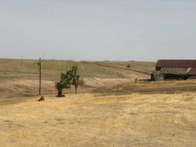IMG_6742.jpg