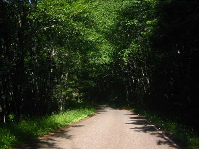 On the goat trail