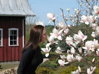 Smelling the magnolia