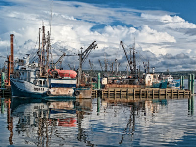 Scallop Fleet II