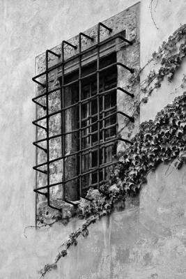 Vertical Things #1