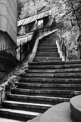 Places to Walk #4