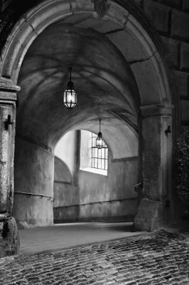Places to Walk #6