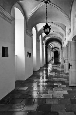 Places to Walk #8