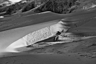 Dunes #08