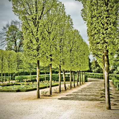 Jardins de Versailles