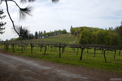 Sierra Vista
