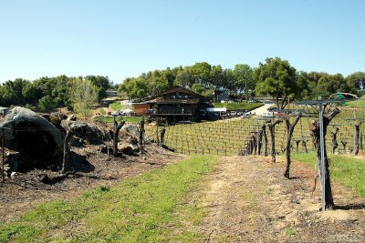 Gold Hill Vineyards
