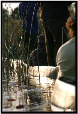 Delta del Okavango
