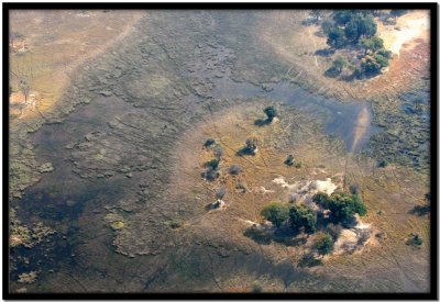 Vuelo Okavango - Chobe N.P.