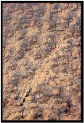 Vuelo Okavango - Chobe N.P.