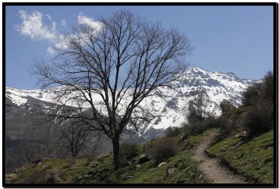 Cortijos del Hornillo