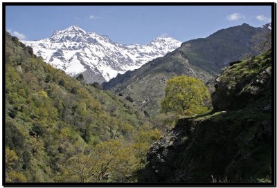 Vereda de la Estrella