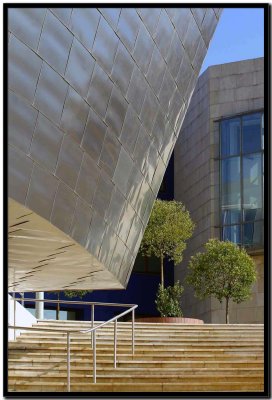 Bilbao. Museo Gunggenheim