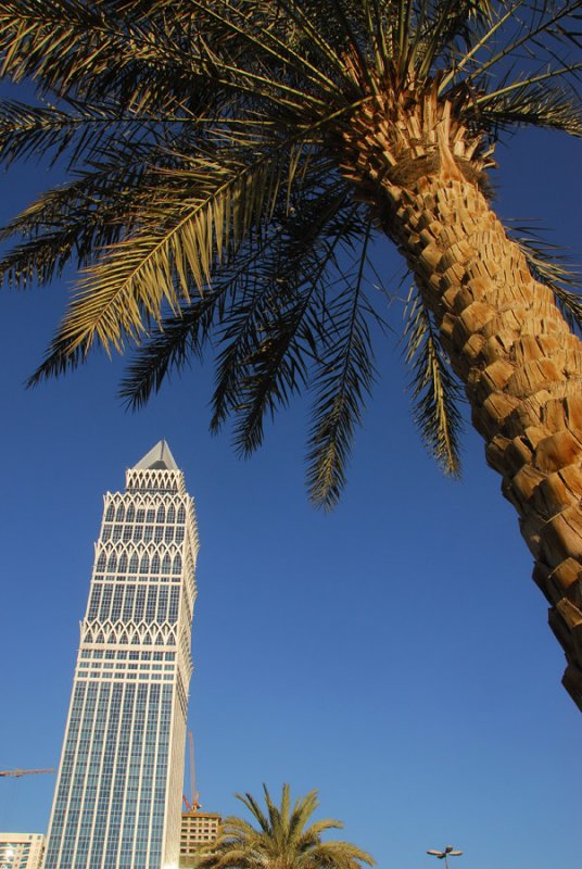 UP Tower and palm tree