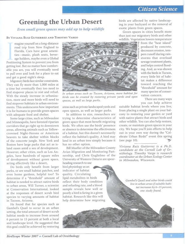 PubBirdscope 001.jpg