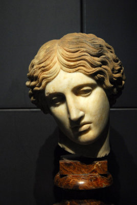 Head of an Amazon from a bronze original of Ephesus ca 440 BC, Sale degli Horti di Mecenate