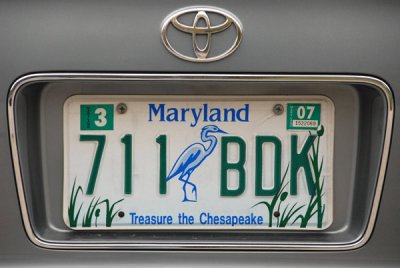 Maryland License Plate - Treasure the Chesapeake