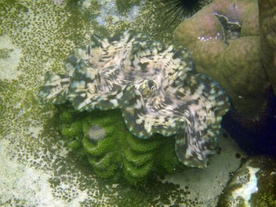 g3/93/329493/3/112352975.ybkcFt95.jpg