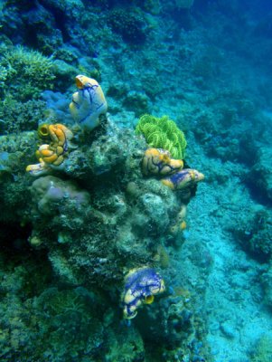 g3/93/329493/3/112372676.O6tV5n4x.jpg