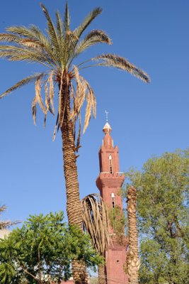 Palm tree and minaret, Omdurman